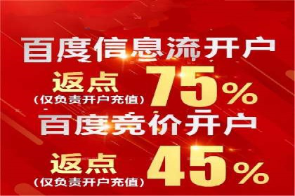 搜索开户返点政策下的成功案例分析